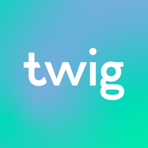 Twig что это и как использовать